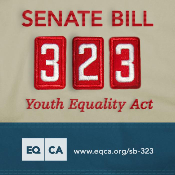 2013 Senate Bill 323 image